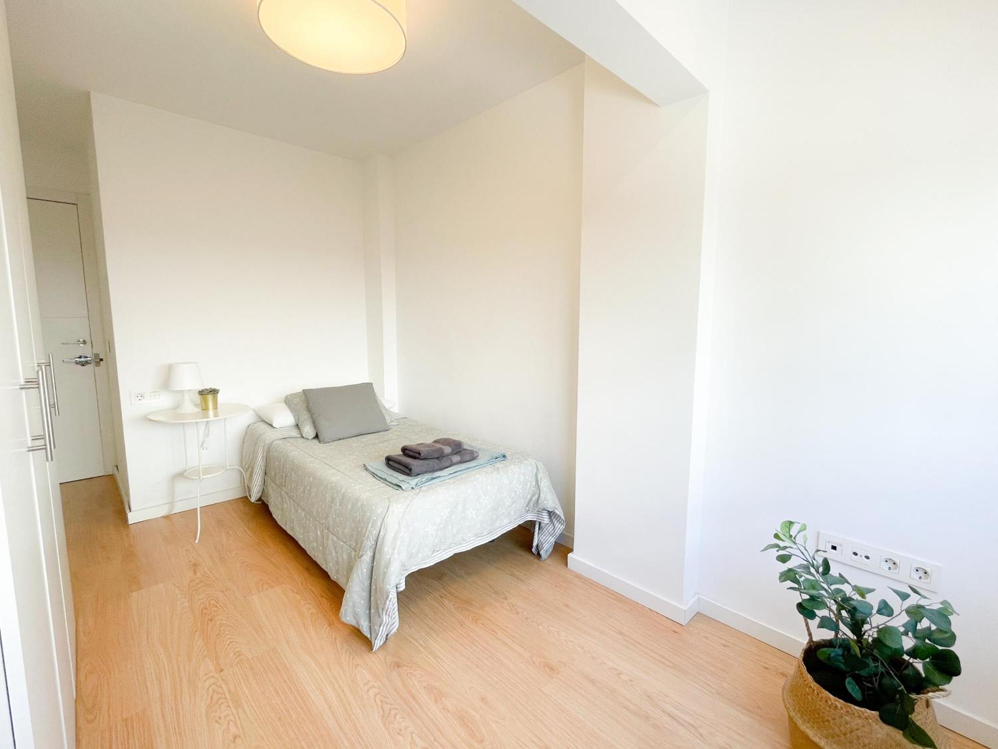 Moderno Apartamento Plz De La Merced Малага Экстерьер фото